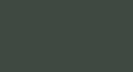 МДФ эмаль, цвет RAL 6009 Пихтовый зеленый