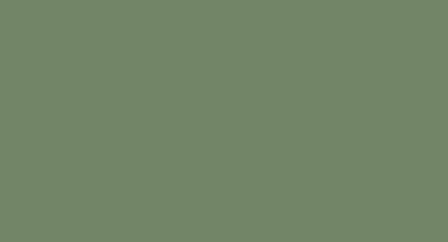 МДФ эмаль, цвет RAL 6011 Резедово-зеленый