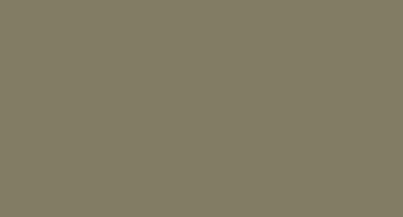 МДФ эмаль, цвет RAL 6013 Тростниково-зеленый