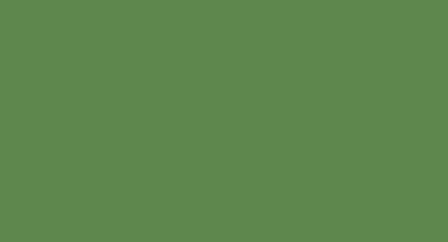 МДФ эмаль, цвет RAL 6017 Майский зеленый