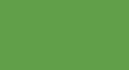 МДФ эмаль, цвет RAL 6018 Желто-зеленый