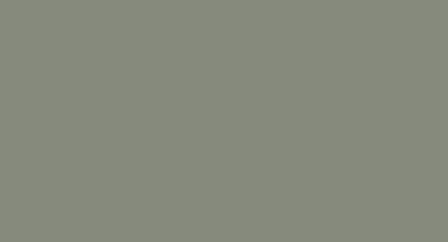 МДФ эмаль, цвет RAL 7033 Цементно-серый