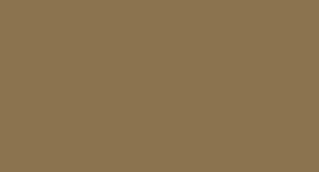 МДФ эмаль, цвет RAL 8000 Зелено-коричневый
