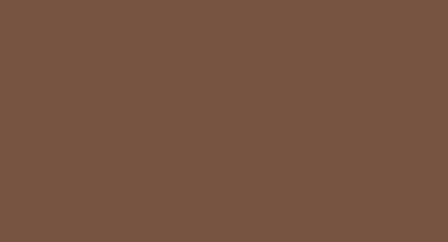 МДФ эмаль, цвет RAL 8007 Палево-коричневый